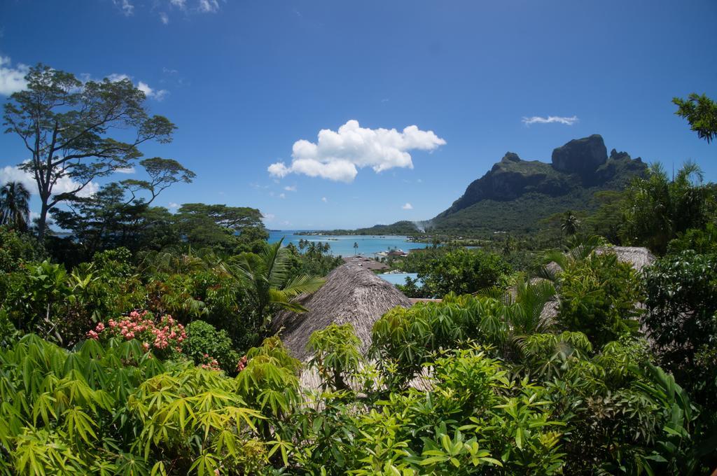 Rohotu Fare Villa Bora Bora Szoba fotó